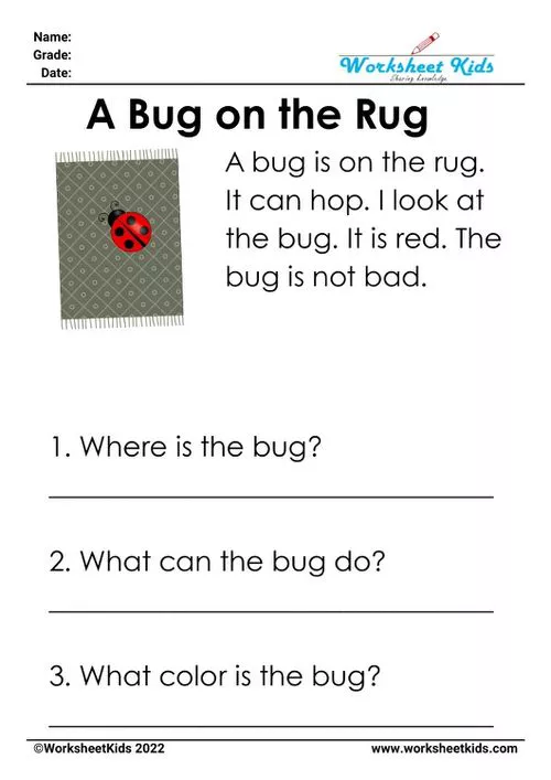 Cute "A Bug on the Rug" CVC story worksheet for little learners, with bug and rug graphics to make reading comprehension fun.